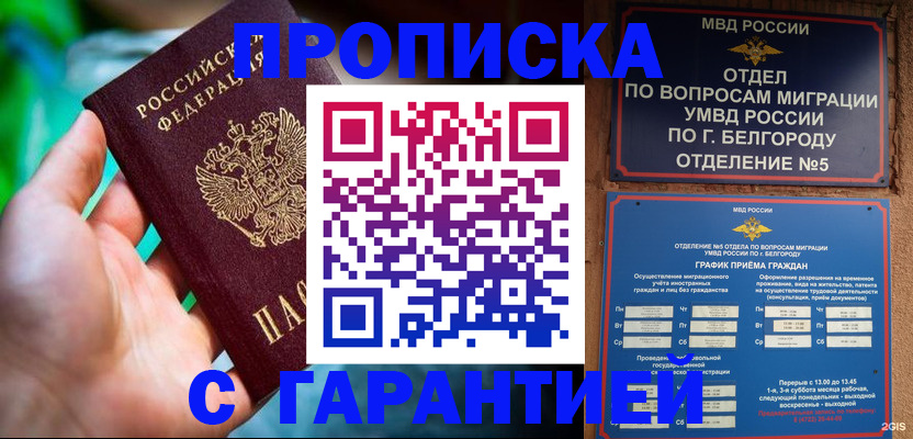 прописка для работы в Малой Вишере